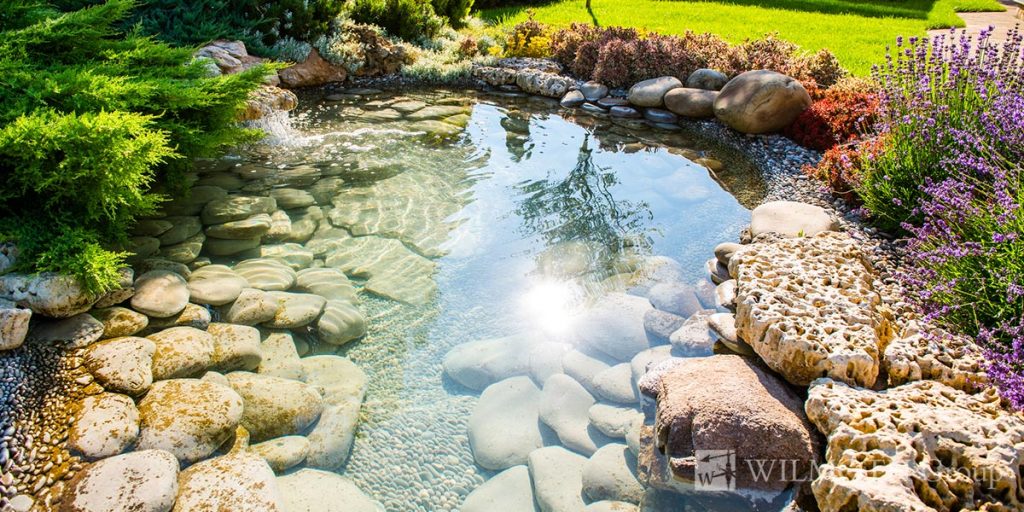 The Best Landscaping Projects to Add Value to Your Home